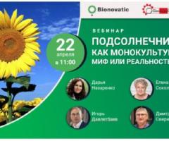 Подсолнечник как монокультура — миф или реальность?
